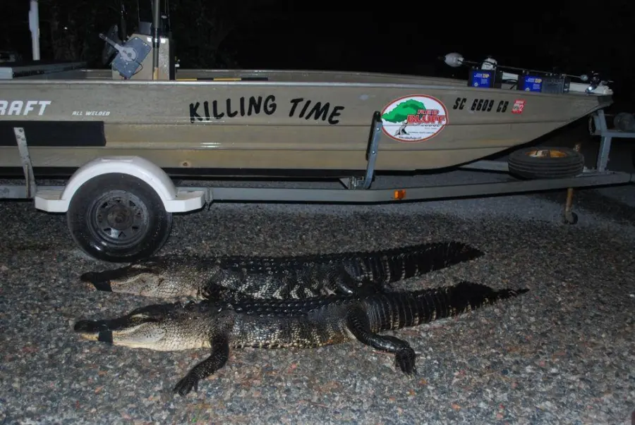 Opening night alligator 2011 2020 12 15 045909